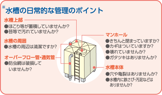 水槽の日常的な管理のポイント